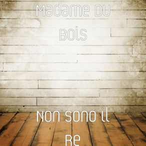 Download track Senza Rete Madame Du Bois