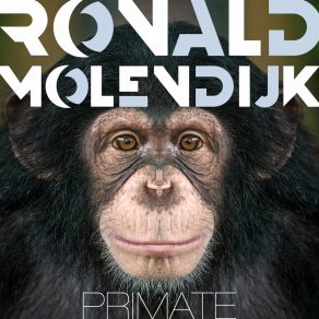 Download track The Sun Comes Up Ronald Molendijk