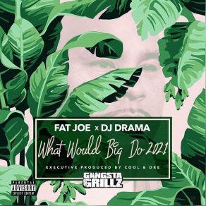 Download track Back Outside DJ Drama, Fat Joe, Cool Dre