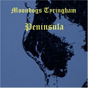 Download track Linear Blues Moondogs Tyringham