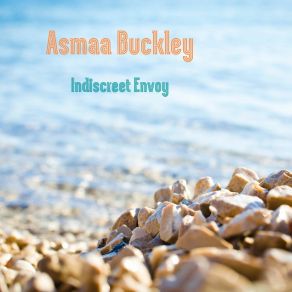 Download track Lancer Megabytes Asmaa Buckley