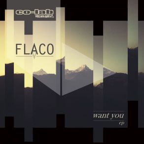 Download track Wind Up Toy FLACO