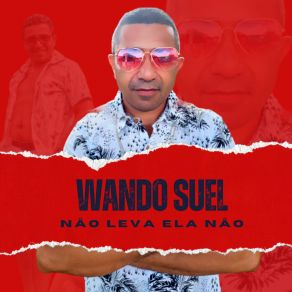 Download track Não Leva Ela Não Wando Suél