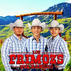 Download track Buscando Una Morena Los Primoz's Del Rancho