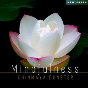 Download track Turning The Wheel Of Dharma Chinmaya Dunster