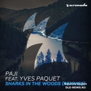 Download track Sharks In'the Woods (Acoustic Version) Paji, Yves Paquet