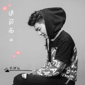 Download track 适可而止 (DJ沈念版) 书泽运