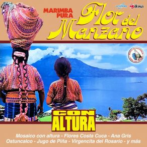 Download track Mosaico Con Altura: Tennis Club / Colonia Molina / Ferrocarril De Los Altos / Amor A 45 Grados / Gitana Mia / Constanza Margarita / Obreros De Pamaxan / Vilma Elizabeth / Monja Blanca Marimba Flor Del Manzano