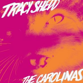 Download track The Rest Will Follow Tracy Shedd