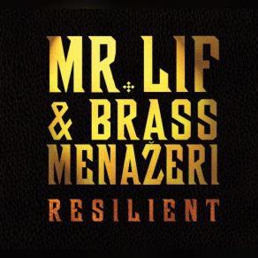 Download track Hump Day Mr. Lif, Brass Menazeri