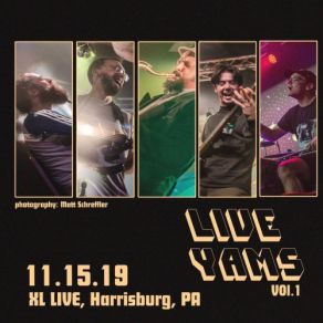 Download track Not Your Dog (Live 11-15-2019) Yam Yam