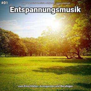 Download track Entspannungsmusik Pt. 45 Entspannungsmusik