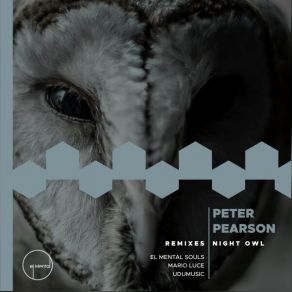 Download track Night Owl (Original Mix) Peter Pearson