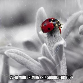 Download track Soft Storm Rain Sounds Nature Collection