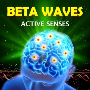 Download track Music To Concentrate With Beta Waves High Level Emiliano Bruguera