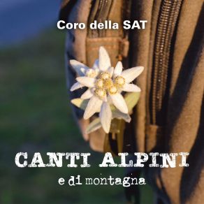 Download track Dove Sei Stato Mio Bell'alpino Coro Della Sat