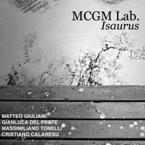 Download track Moebius 17 MCGM Lab