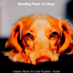 Download track Background For Separation Anxiety Dazzling Music For Dogs