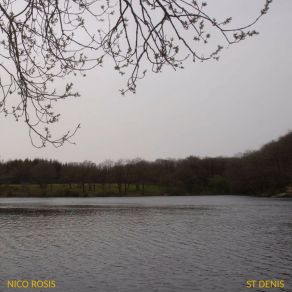 Download track St Denis (Instrumental) Nico Rosis