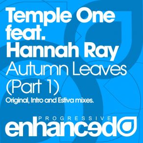 Download track Autumn Leaves (Intro Mix) Temple One