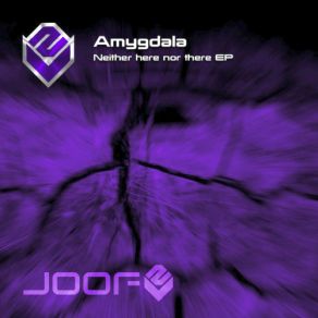 Download track Neither Here Nor There (Live Mix) Amygdala