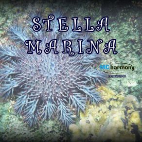 Download track Stella Marina Andrea Fiorini