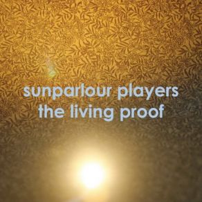 Download track How To Build A Fort With Nothing Sunparlour Players