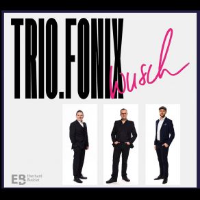 Download track Did You Listen To Him? Trio. Fonix