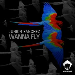 Download track Wanna Fly (Fly Beats) Junior Sanchez