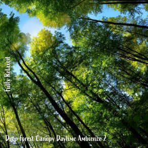 Download track Deep Forest Canopy Daytime Ambience, Pt. 3 Steve Brassel