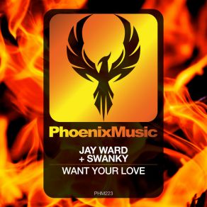 Download track Want Your Love (Extended Mix) Swanky