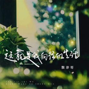 Download track 这就是我向往的生活 (伴奏) 飘渺哥