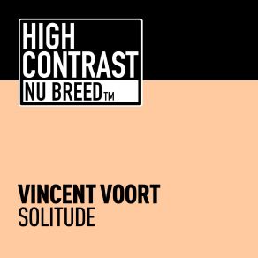 Download track Solitude (Original Mix) Vincent Voort