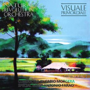 Download track Magari Senza Tari Natural Revolution OrchestraFabio Morgera, Antonio Farao, Luca Signorini, Riccardo Galardini