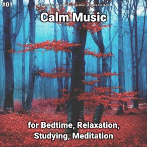 Download track Calm Music, Pt. 36 Relaxing Spa Music