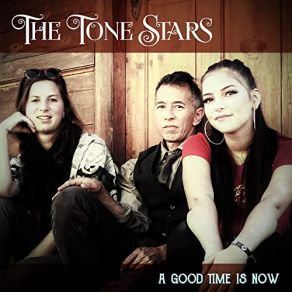 Download track We'll Never Know The Tone Stars