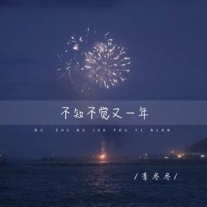 Download track 不知不觉又一年 (和声伴奏版) 李冬冬