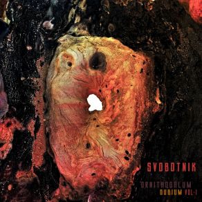 Download track Earth (Bonus Track) Svobotnik