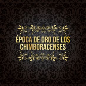 Download track El Trovador Los Chimboracenses