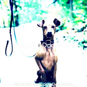 Download track Tremendous Backdrops For Cute Dogs Beautiful Dog Music