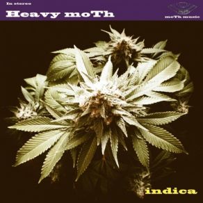 Download track Reborn Heavy Moth