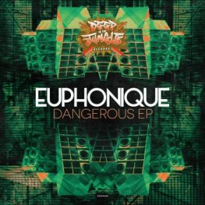 Download track From The Hood Euphonique