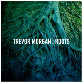 Download track The Bridge You Burned Trevor Morgan