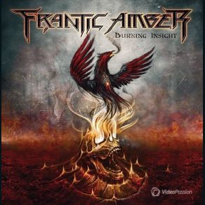 Download track Soar Frantic Amber