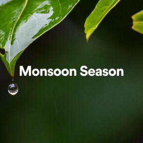 Download track Amazon Rain Forest Rain Rain Sounds