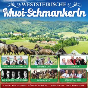 Download track Weingartsberg Lied Die Weingartsberger