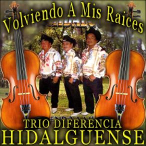 Download track El Queretano Trio Diferencia Hidalguense