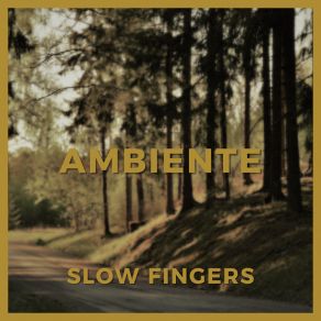 Download track Ambiente Slow Fingers