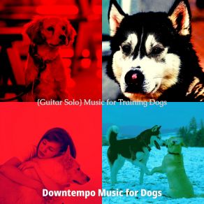 Download track Spirited Jazz Guitar Trio - Vibe For Dogs Downtempo Music For Dogs