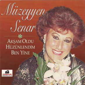 Download track Ümitsiz Bir Aska Düstüm Müzeyyen Senar